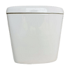 Close Couple Cistern