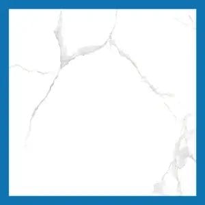 Carrara White Floor Tiles - Glossy Polished Porcelain - 600X600mm - | A-Grade | Msp66048m