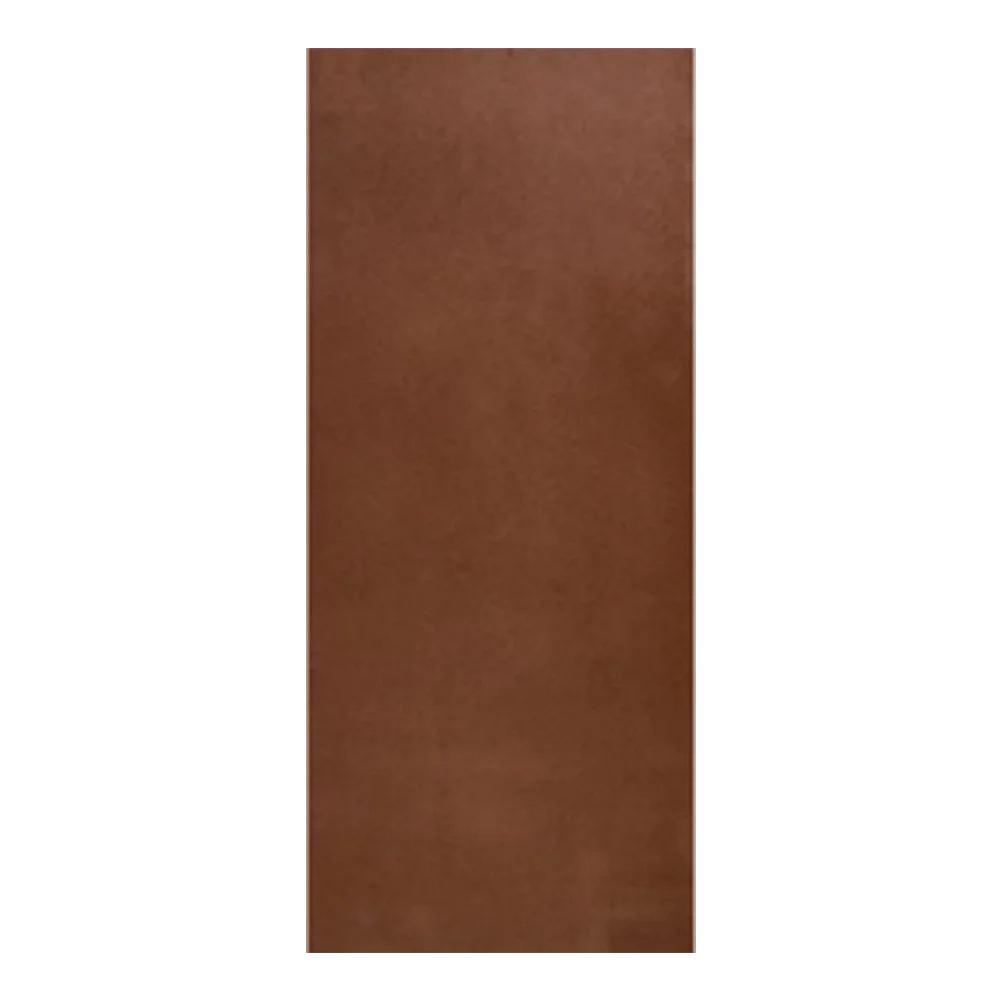 Masonite Single Full Door