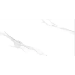 Carrara White Wall Tiles Glossy Polished Ceramic MSW36002M 300x600mm | A-Grade