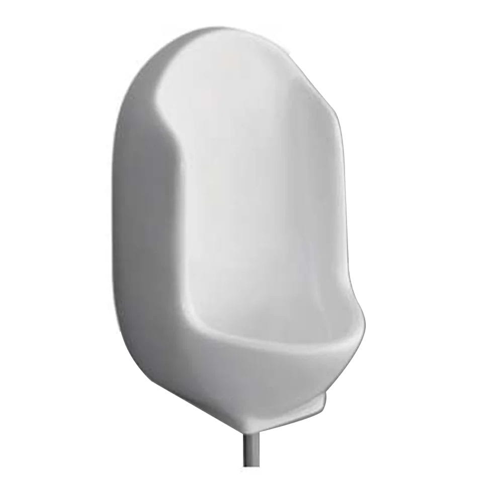 Wall-Mounted Urinal