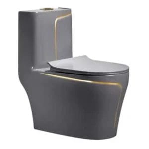 Grey Gold Line One-Piece Toilet