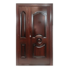 Metal entry door with sidelights