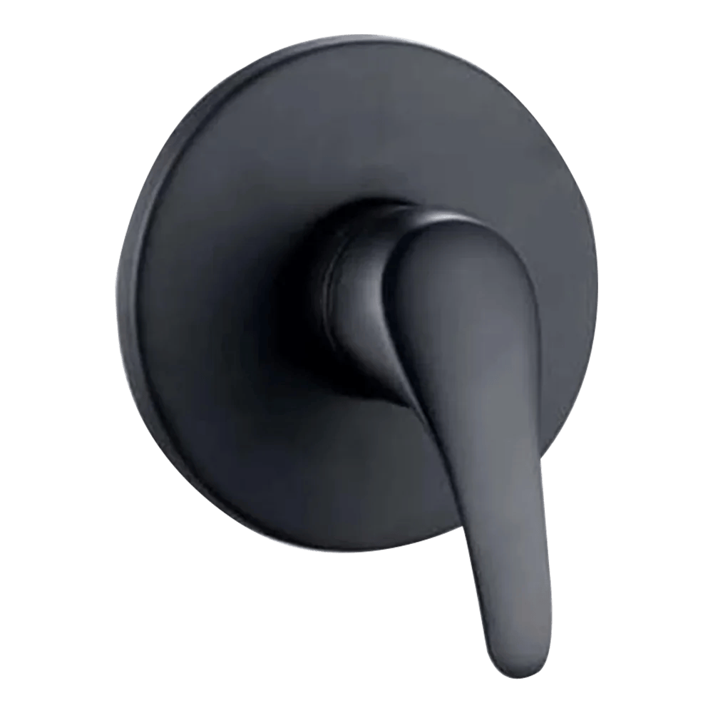 Black Shower Mixer
