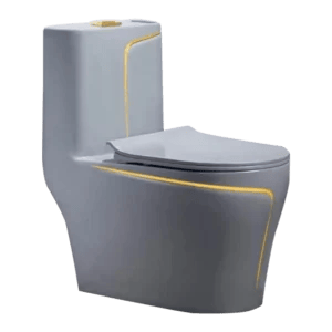 Grey Gold Line One-Piece Toilet