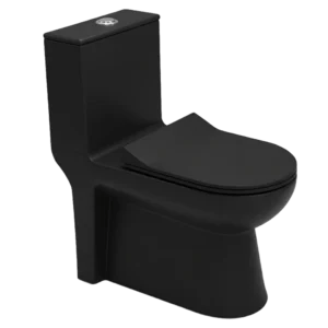 Matt Black Modern One-Piece Toilet