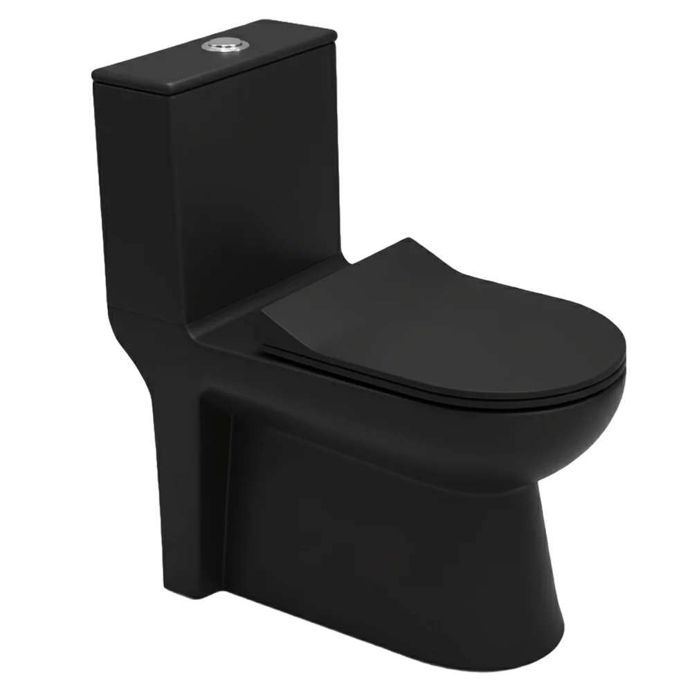 Matt Black Modern One-Piece Toilet